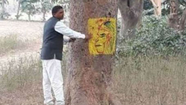 అడవులను కాపాడేందుకు..