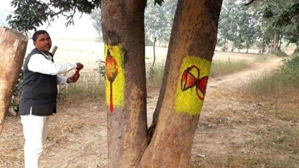 నరకడం లేదు.. పూజిస్తున్నారు..