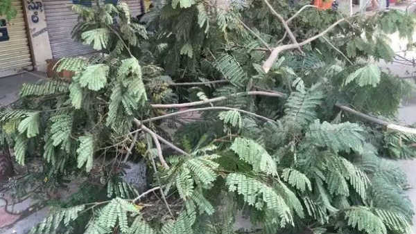 రూ. 45వేలు జరిమానా