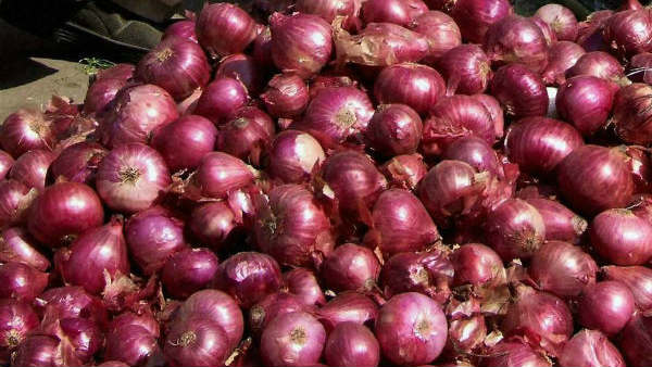  కంట కన్నీరే..