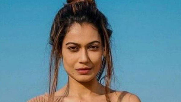 నమోదైన కేసులు ఇవే..