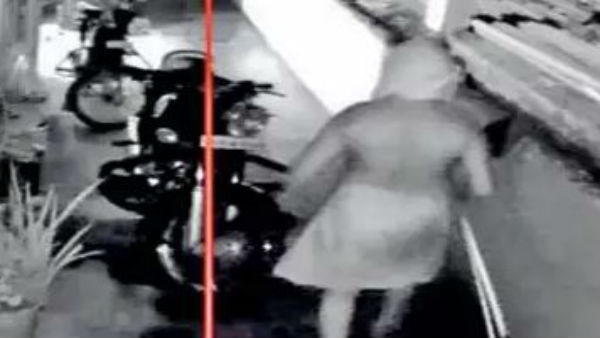 అచ్చం ప్రొఫెషనల్ మాదిరి..