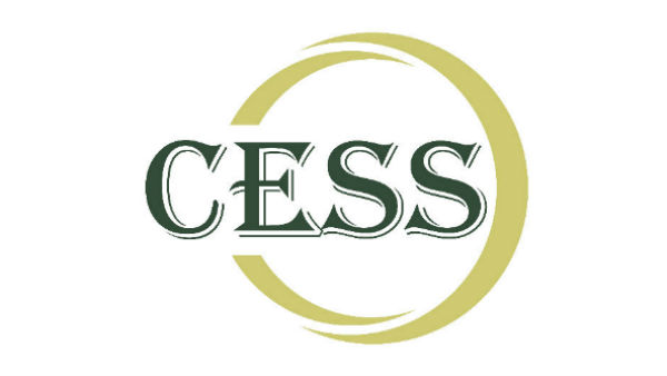 సెస్ అంటే..