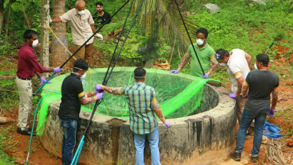 తాటి చెట్లపై వాలిన గబ్బిలాల ద్వారా..