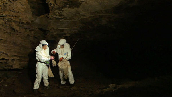  గతేడాదే కరోనా వైరస్‌ గురించి హెచ్చరించిన పరిశోధకులు