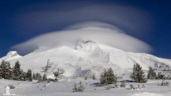 ఏటా 10 వేల మందికిపైగా