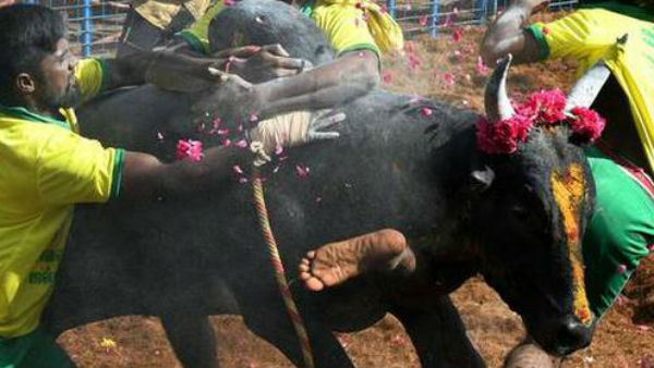 ఆంక్షలు, సూచనల నడుమ.. ఆంక్షలు, సూచనల నడుమ..