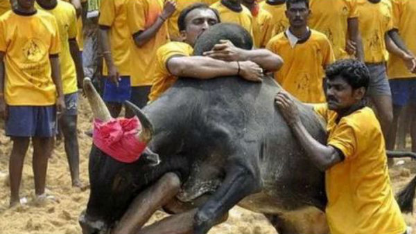 బిబీ బిజీగా 108 ఆంబులెన్స్ లు.. బిబీ బిజీగా 108 ఆంబులెన్స్ లు..