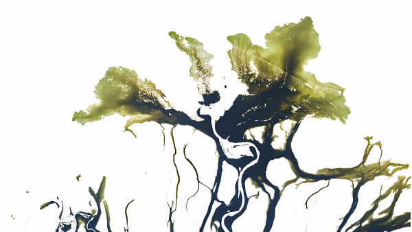 అద్భుతమైన దృశ్యం లీనా రివర్ డెల్టా