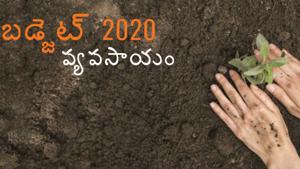 జీడీపీలో వ్యవసాయ రంగం వాటా పెంపు.. 