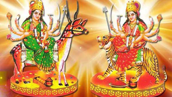 వనదేవతల గిరిజన జాతర..