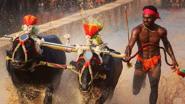 ఎవరా పరుగుల వీరుడు..