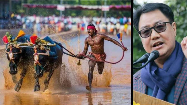  శాయ్‌ నుంచి గౌడకు పిలుపు..