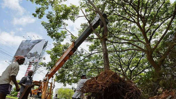 వాల్టా చట్టం కింద జరిమానా