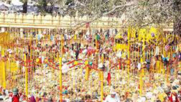 కన్నెపల్లిలో పండుగ వాతావరణం 