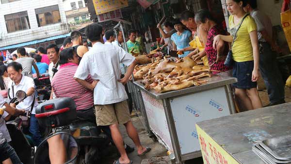 వూహాన్ మార్కెట్లో ప్రతి జంతువును టెస్టు చేయాలి