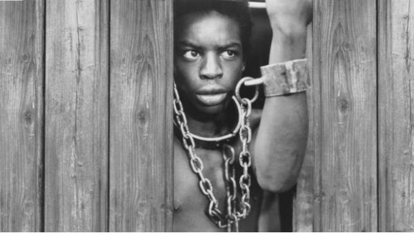  రూట్స్ నవల..