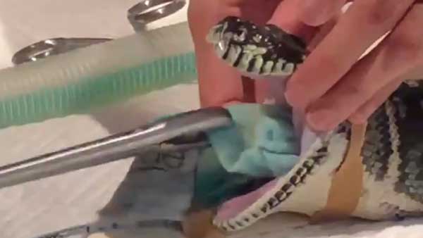 డాక్టర్ల తెగువకు నెటిజన్ల ప్రశంస..