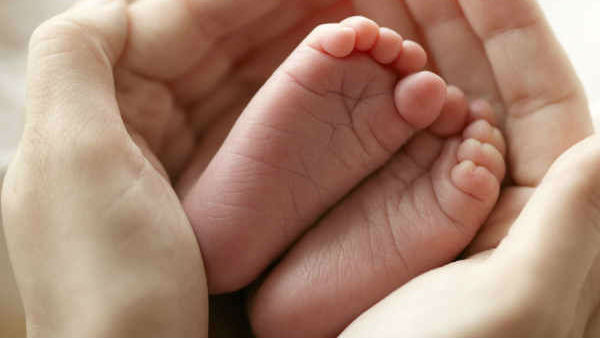 పరోపకార సరోగసీనే సమర్థించిన ప్యానెల్..