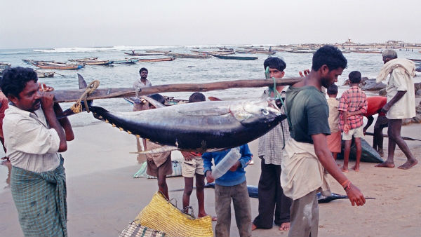 షెడ్యూల్ ఇదీ షెడ్యూల్ ఇదీ