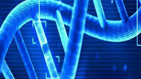 బిడ్డకు డీఎన్ఏ పరీక్షలు 