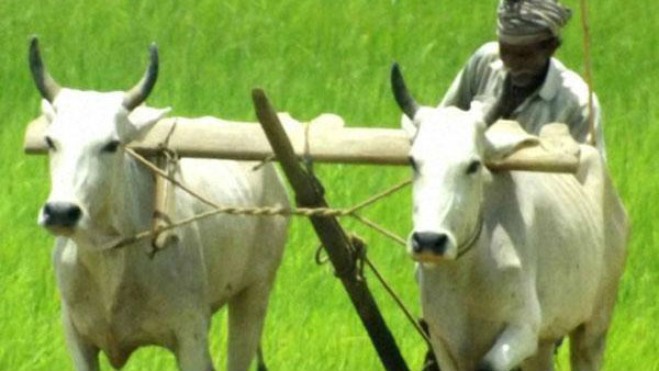 రుణమాఫీ మార్గదర్శకాలను విడుదల చేసిన ప్రభుత్వం 