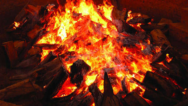 విపత్కర పరిస్థితులలో ఆరోగ్య రక్షణకు యాగ నిర్వహణ విపత్కర పరిస్థితులలో ఆరోగ్య రక్షణకు యాగ నిర్వహణ