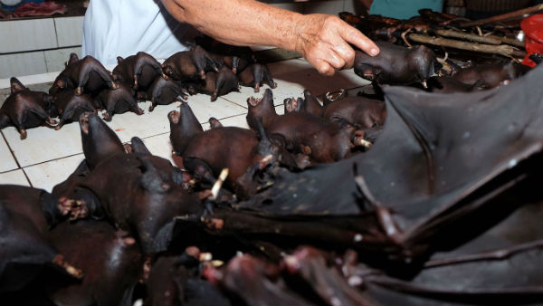 మొదట్లో దక్షిణ చైనాకే పరిమితం..