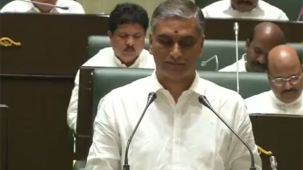 2019-20 సవరించిన అంచనాలు