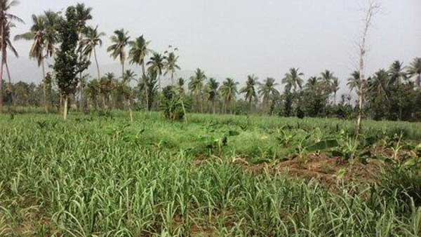 రాష్ట్రంలో ఎక్కడెక్కడ భూసేకరణ