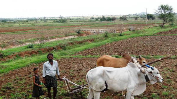  కిసాన్ క్రెడిట్ కార్డుతో పంట భీమా సౌకర్యం