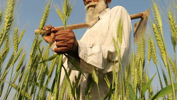 పావలా వడ్డీకే రైతన్నలకు రుణాలు 