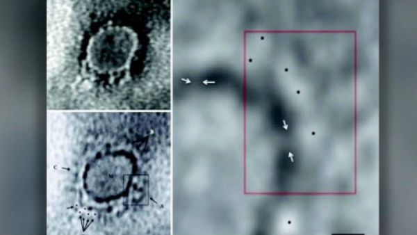 ఎలా గుర్తించారు.. ఎలా గుర్తించారు..