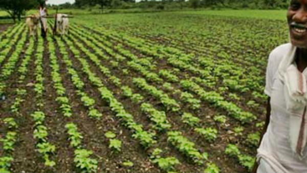 రైతులకు చెక్కుల ద్వారా రుణమాఫీ