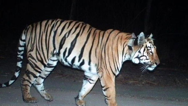 అలా గుర్తించారు..