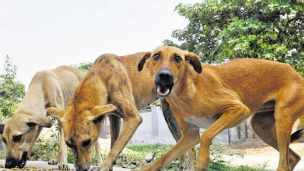 బిహేవియరల్ ఛేంజ్
