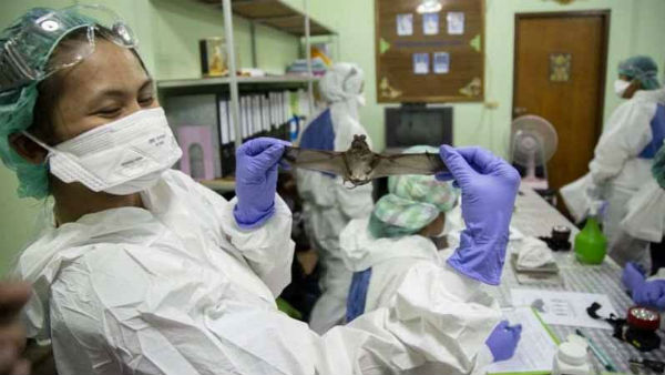 రివర్స్ థియరీ..