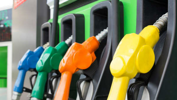 305 శాతం క్షీణత నమోదు..