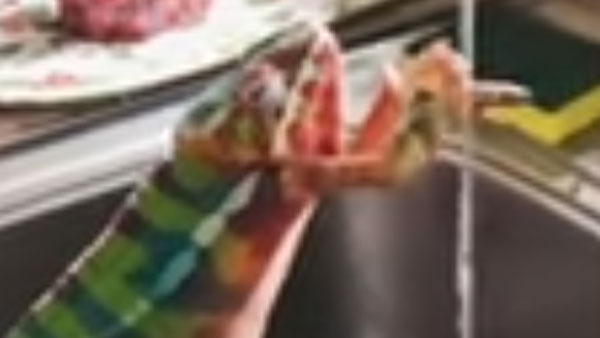 నిజంగా అది హ్యాండ్స్ వాష్ చేసుకుందా..