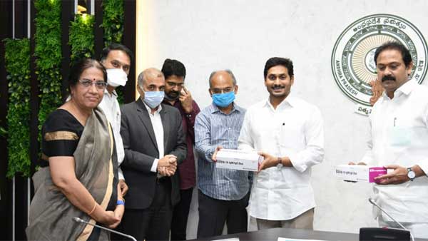 జగన్ సర్కార్ ఏం చేస్తుంది? 