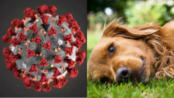 ఎవరా సైంటిస్ట్.. ఏం కనిపెట్టారు..