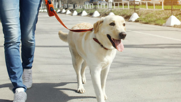 కంట తడి పెట్టిన యజమాని