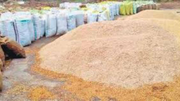 పండిన పంట అమ్ముకోలేక రైతన్నల దీనావస్థలు 