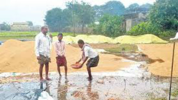 ధాన్యం , మొక్కజొన్న వెంటనే కొనుగోలు చెయ్యాలని రోడ్లపై బైఠాయించిన రైతులు 