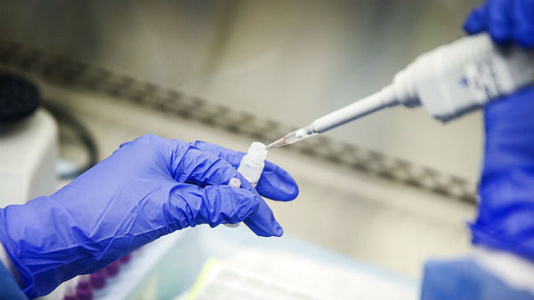  కోతులతో మనుషులకు పోలికేంటి..?