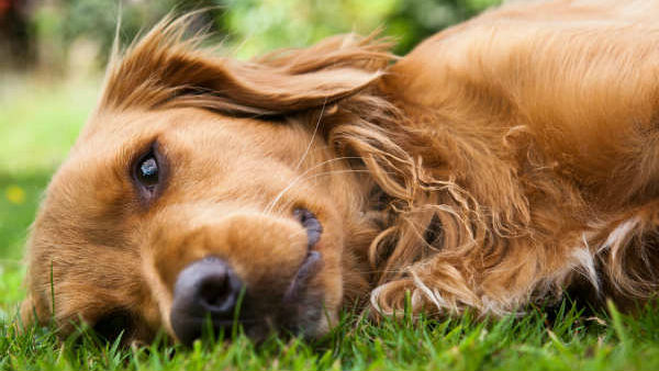 అధ్యయనంలో ఆసక్తికర విషయాలు