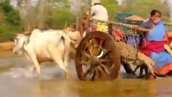 పేద వారి ఆకలి తీర్చేందుకు సరికొత్త ఛాలెంజ్.. గవర్నర్ తో పాటు వారికి