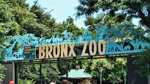 27వ తేదీన అనారోగ్యానికి..