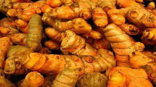  శ్వాసకోశ వ్యవస్థలో సమస్యలు ఉండవు