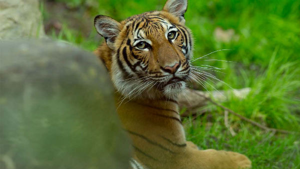 సిబ్బందికి పర్మిషన్.. క్లీన్...